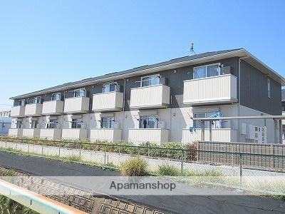 エヴァーグリーン