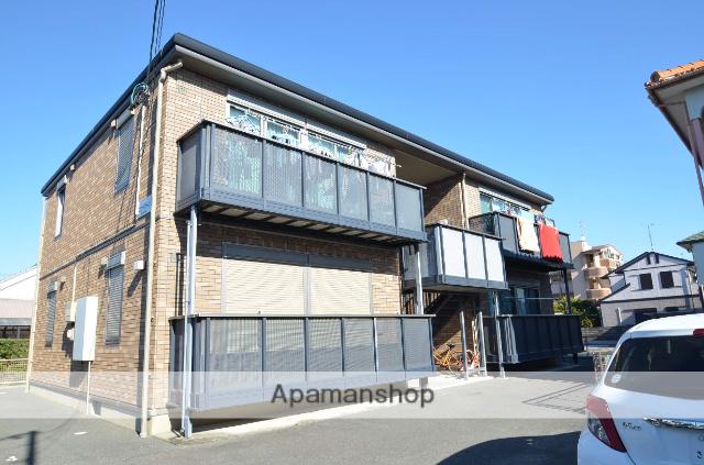 エヴァーグリーン