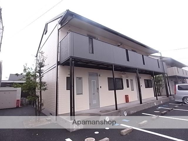 トレイシュアルボレー
