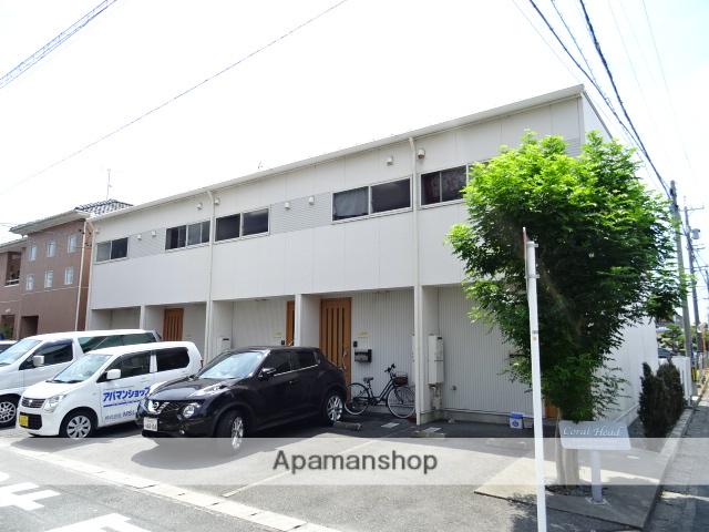 コーラルヘッド