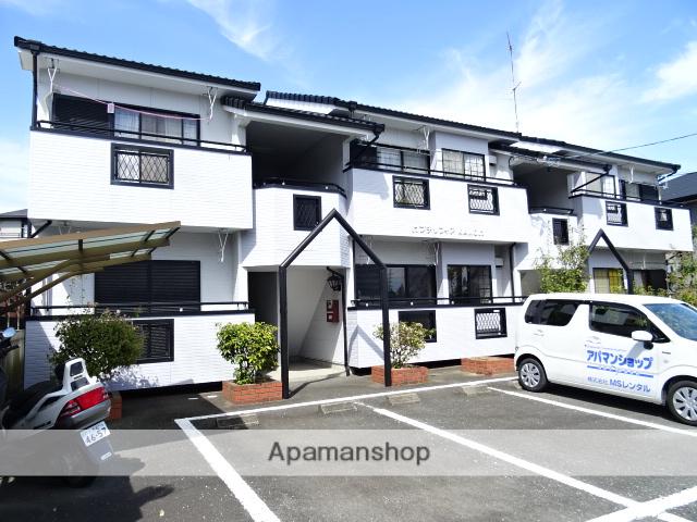 プチソフィアKAMO