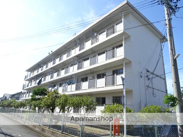 セントポーリア蜆塚