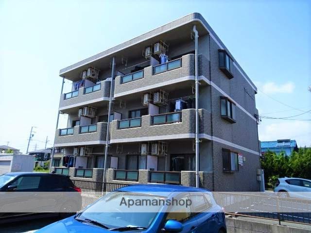 ウィルコート初南