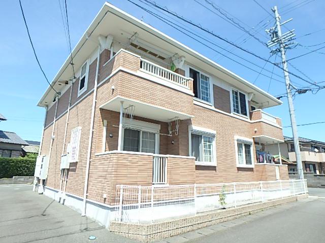 アイビ-