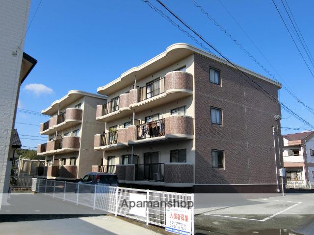 セレブレート(3DK/3階)