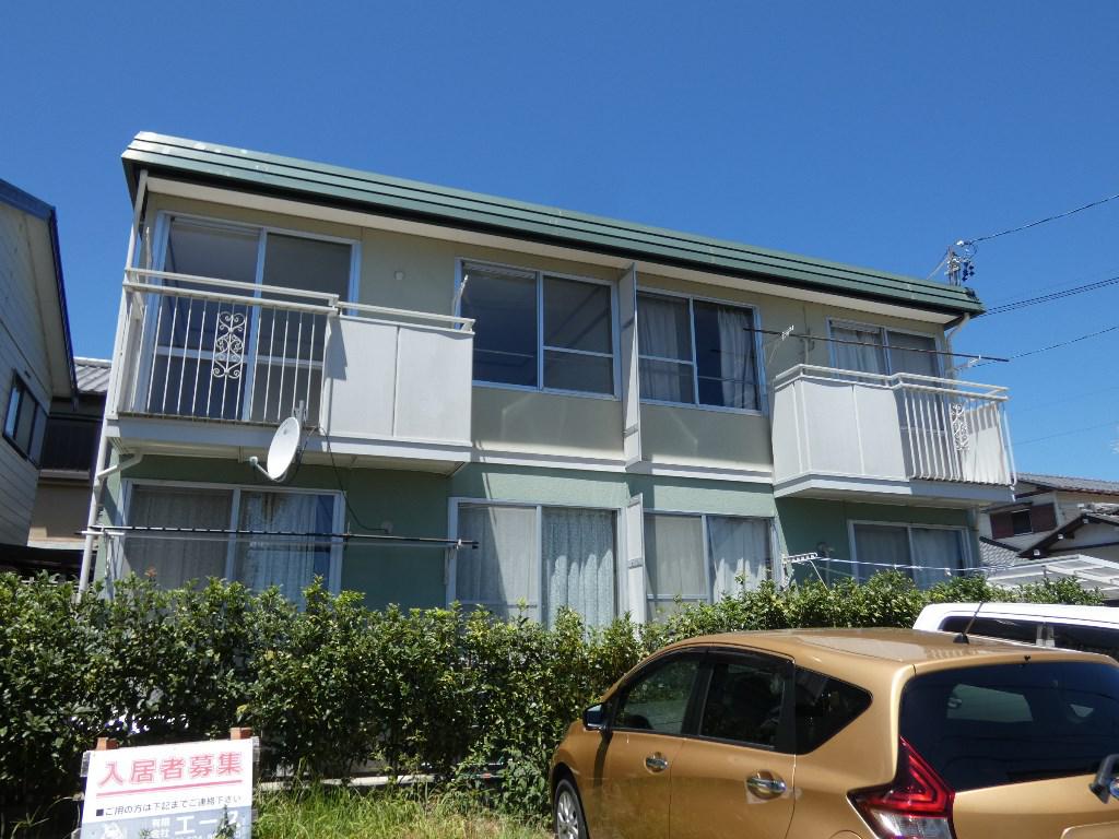 エバーグリーン