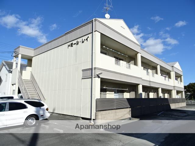 ドミール・レイ