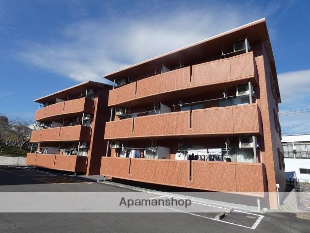 エヴァーグリーン