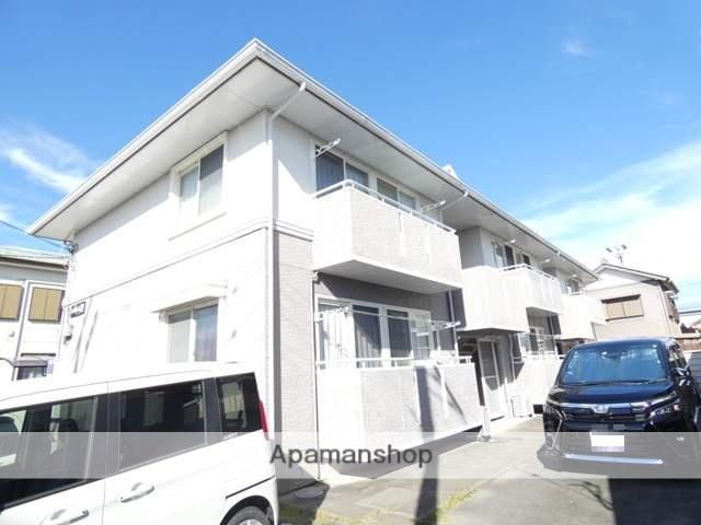 ハイカムール21