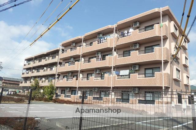 ジョイファーレ