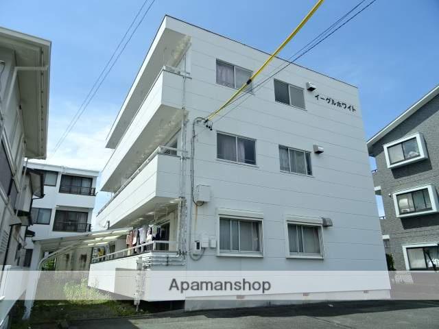 イーグルホワイト