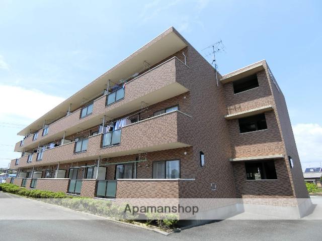 マンション柏(2LDK/2階)