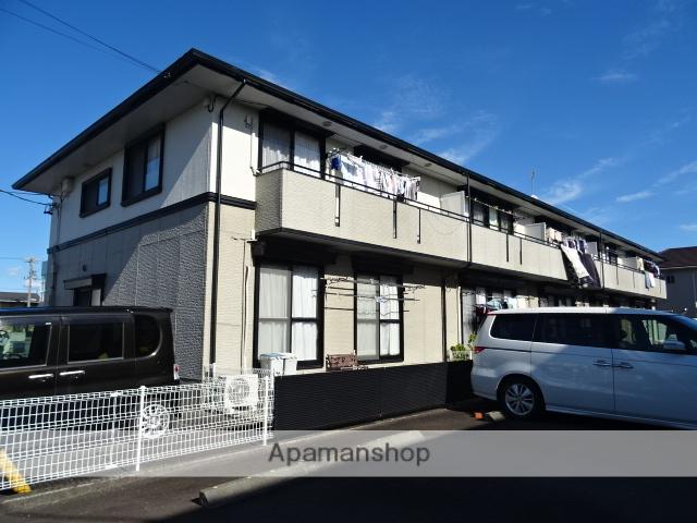 ハイカムールSHIMIZU