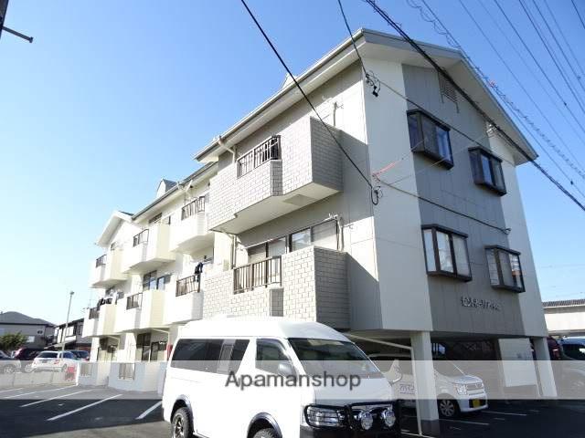 セントポーリアダイニ