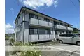 ライズ後藤B