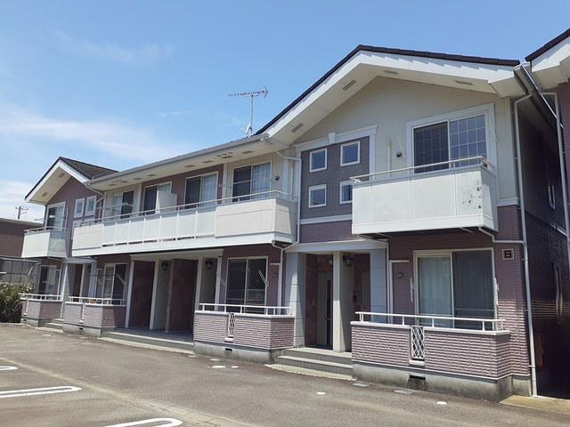 ファレノプシス B