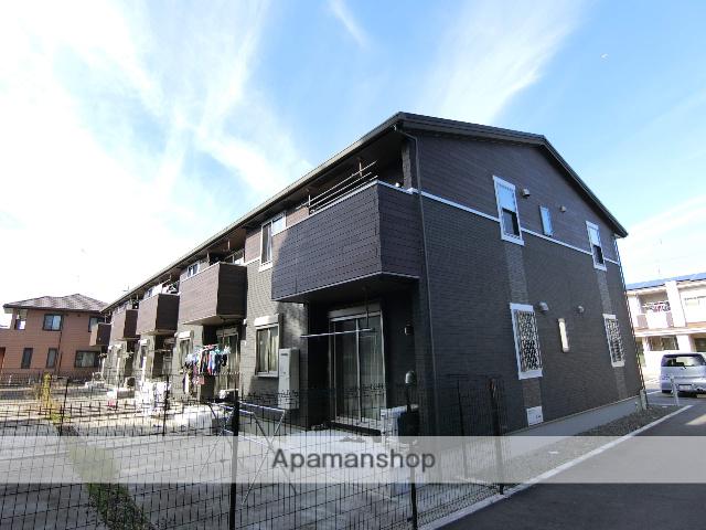 カンパニュール B