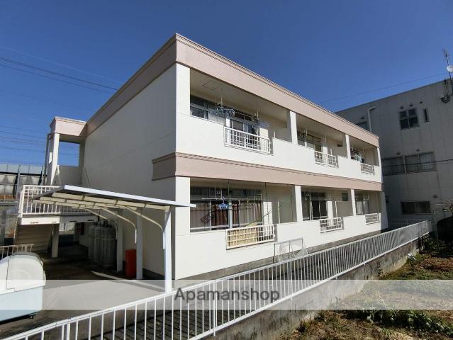 レクセル亀の甲