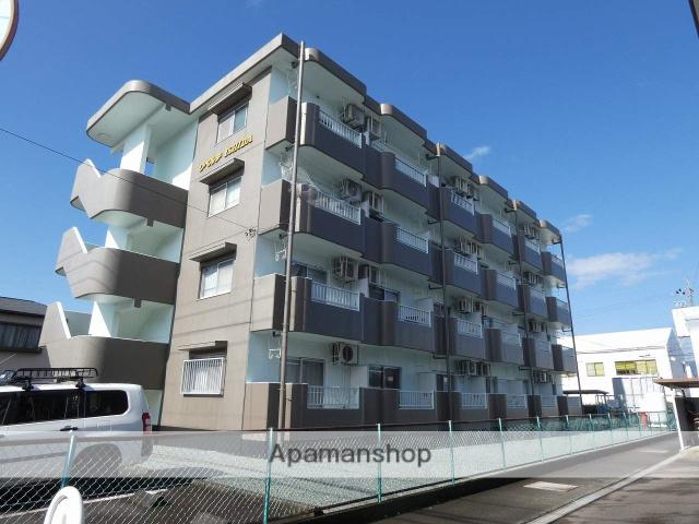 リベルテイシダ