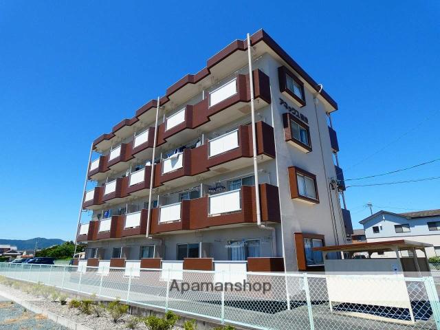 アネックス根洗