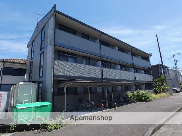 グリーン・リーフ