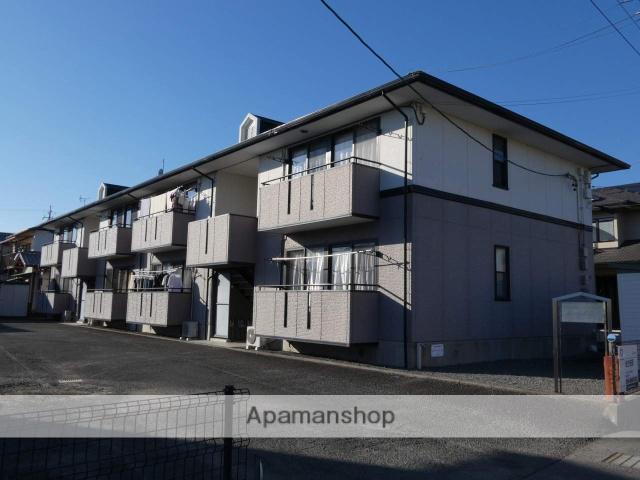 レディーバード