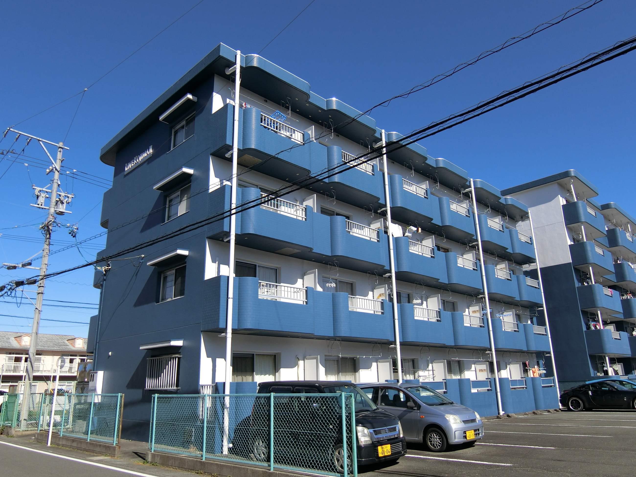 ライブ小島Ⅱ
