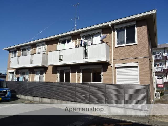 サンライズパレット