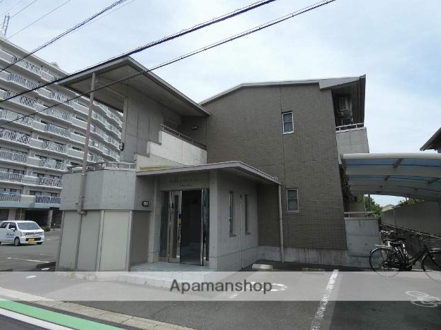 M・シュルプリーズ ドゥ