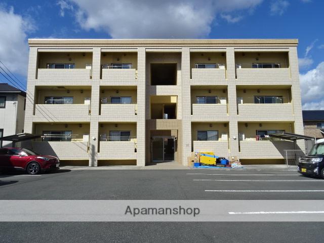 ル・リオン初生