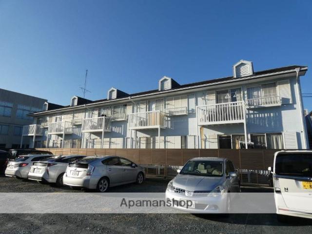 コーレイパームⅡ