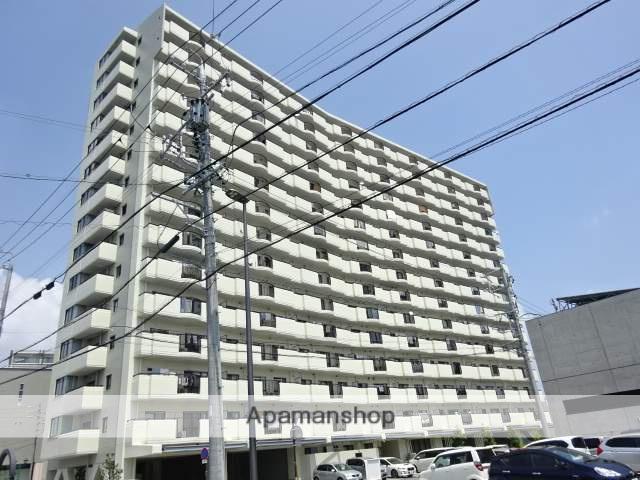 ライフインサーラ(2LDK/4階)