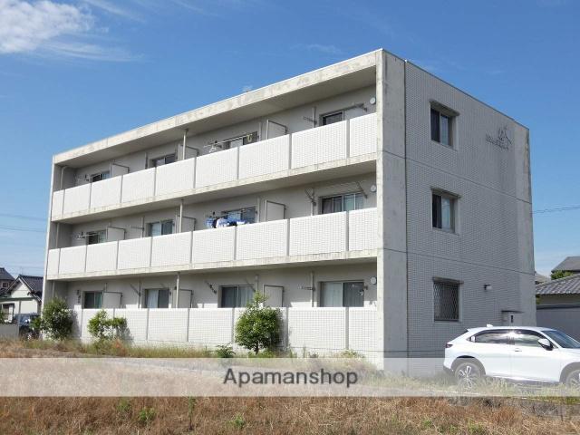 グランストーク桜