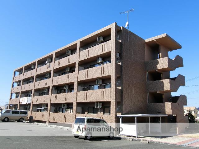 シーダーナイン