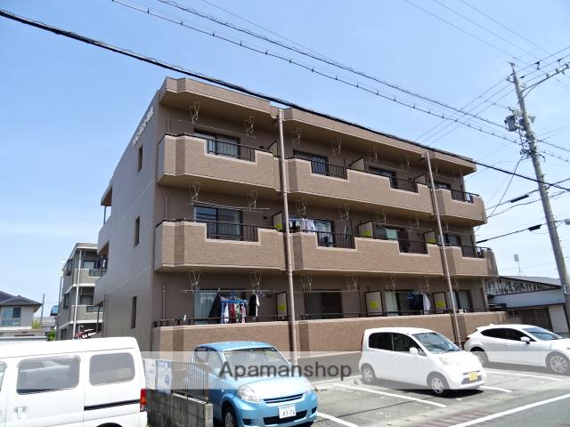 アバンダント初生