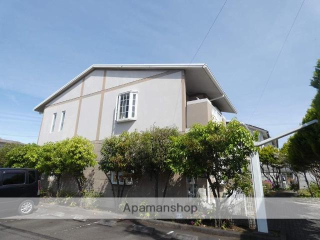 グリーンピュア