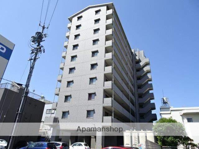 メルール藤枝