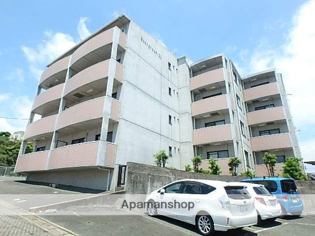 エバーグリーン21