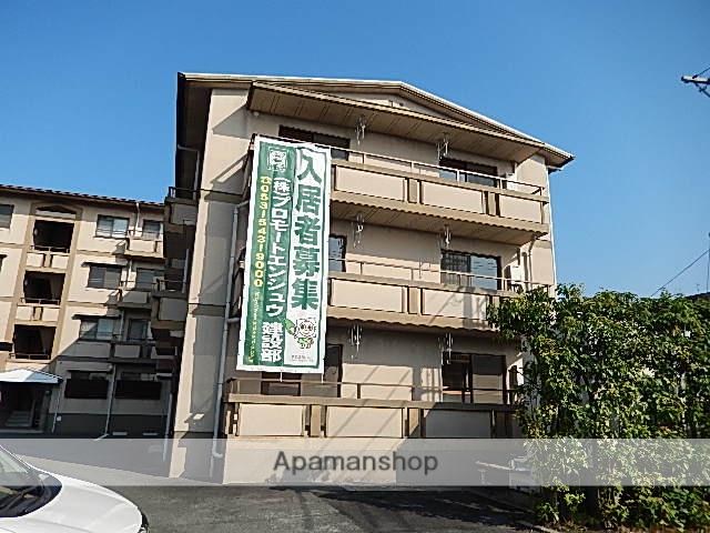 WHITE TABLET ウエスト