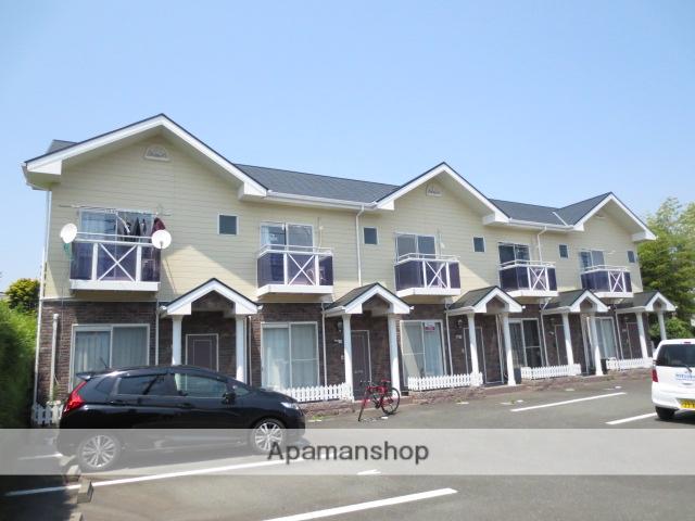 ＣＯＺＹＴＥＲＲＡＣＥ