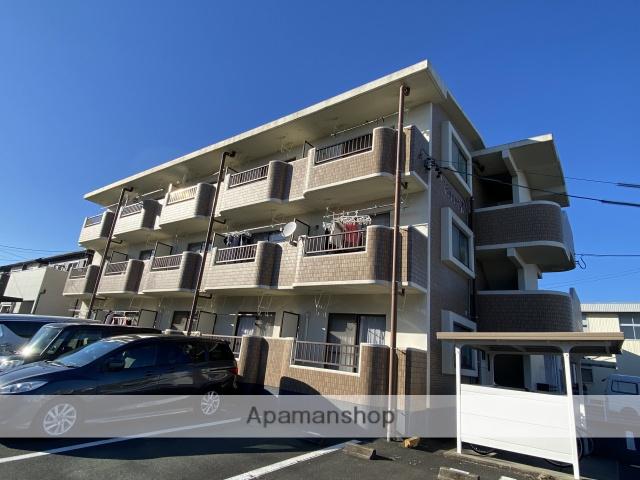 マンションやまももの木