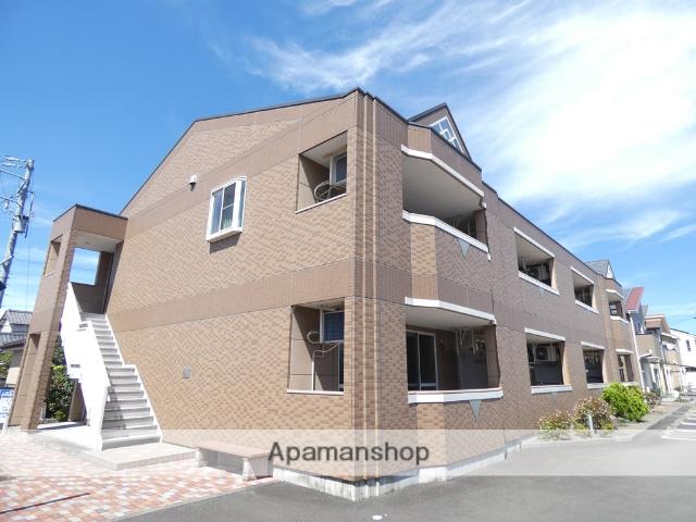 アンジェリーク