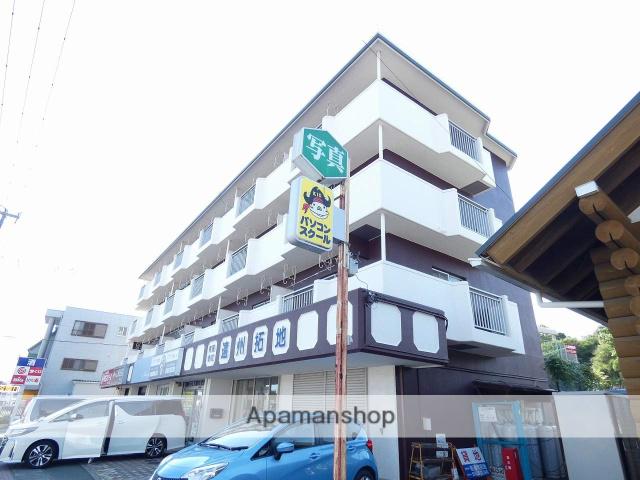 コーポラスヤング(1DK/3階)