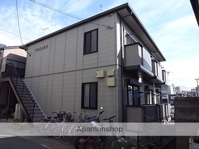 アルスハタゴ