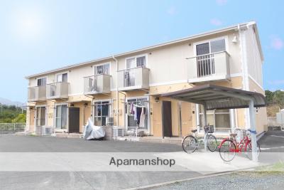 グレース・イン・コゴイ