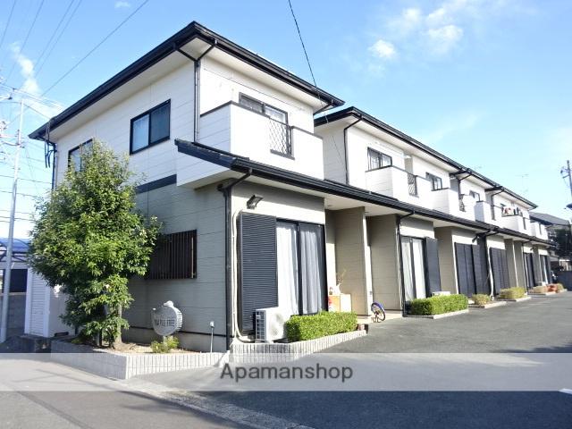 メイプルトゥリー