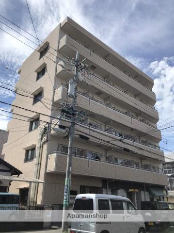 エローラ 藤枝