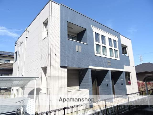 クレープマートル