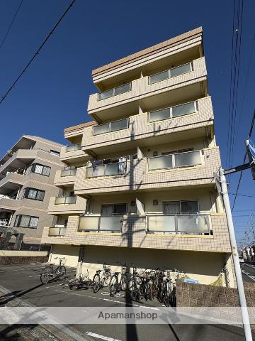 マイネ野口