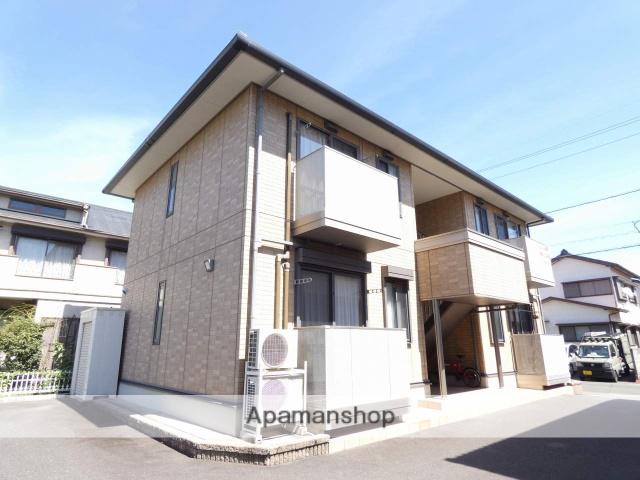 コートフリッシュ